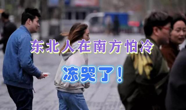 怀疑人生：不会置你死地但会让你无数次后悔z6尊龙网站登录入口东北女生在南方被冻到(图2)