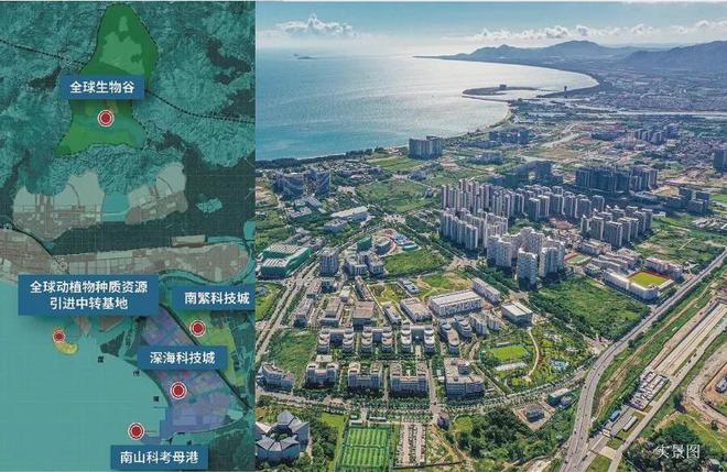 屿间售楼处林屿间首页网站楼盘百科尊龙凯时网2025三亚招商·林(图4)